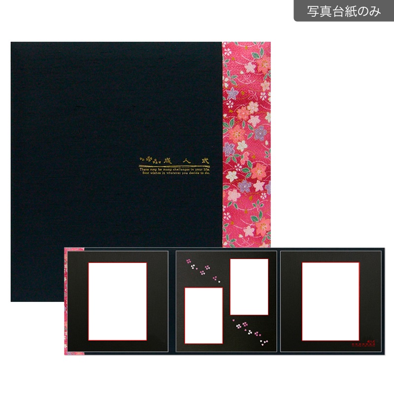 成人式セットＢ 六切 3面(【600-0068　写真台紙のみ】)