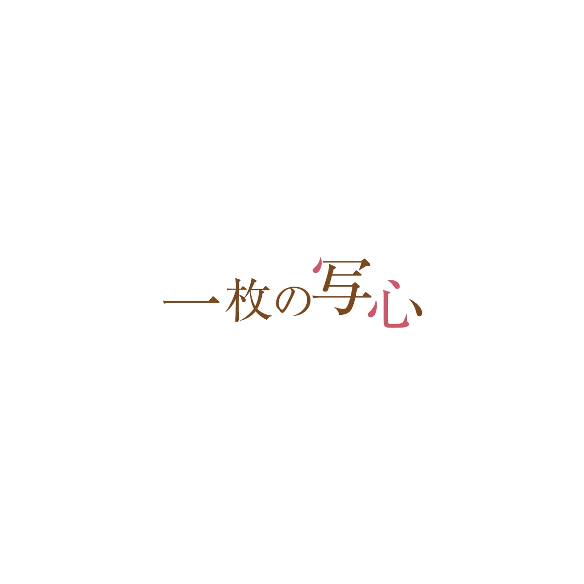 SHフラワー 六切 3面（2L2×角×2L2）(【600-0117 写真台紙のみ】)